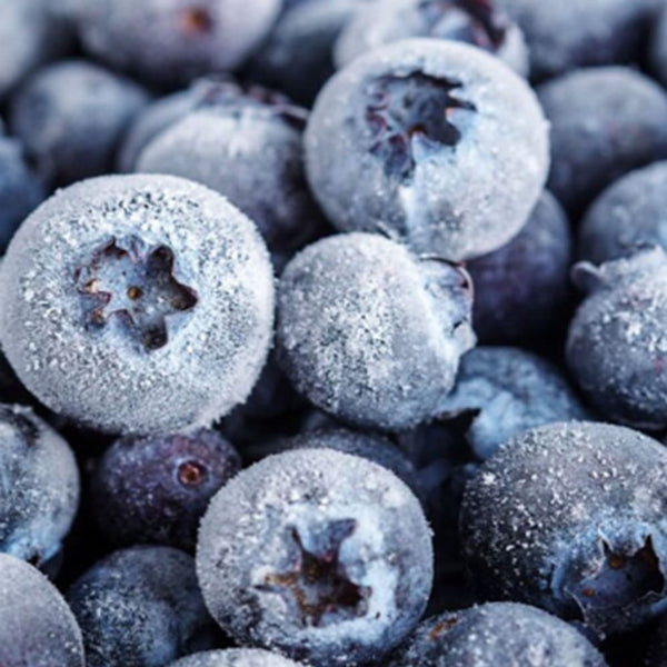 Arándanos Congelados 1Kg Bou