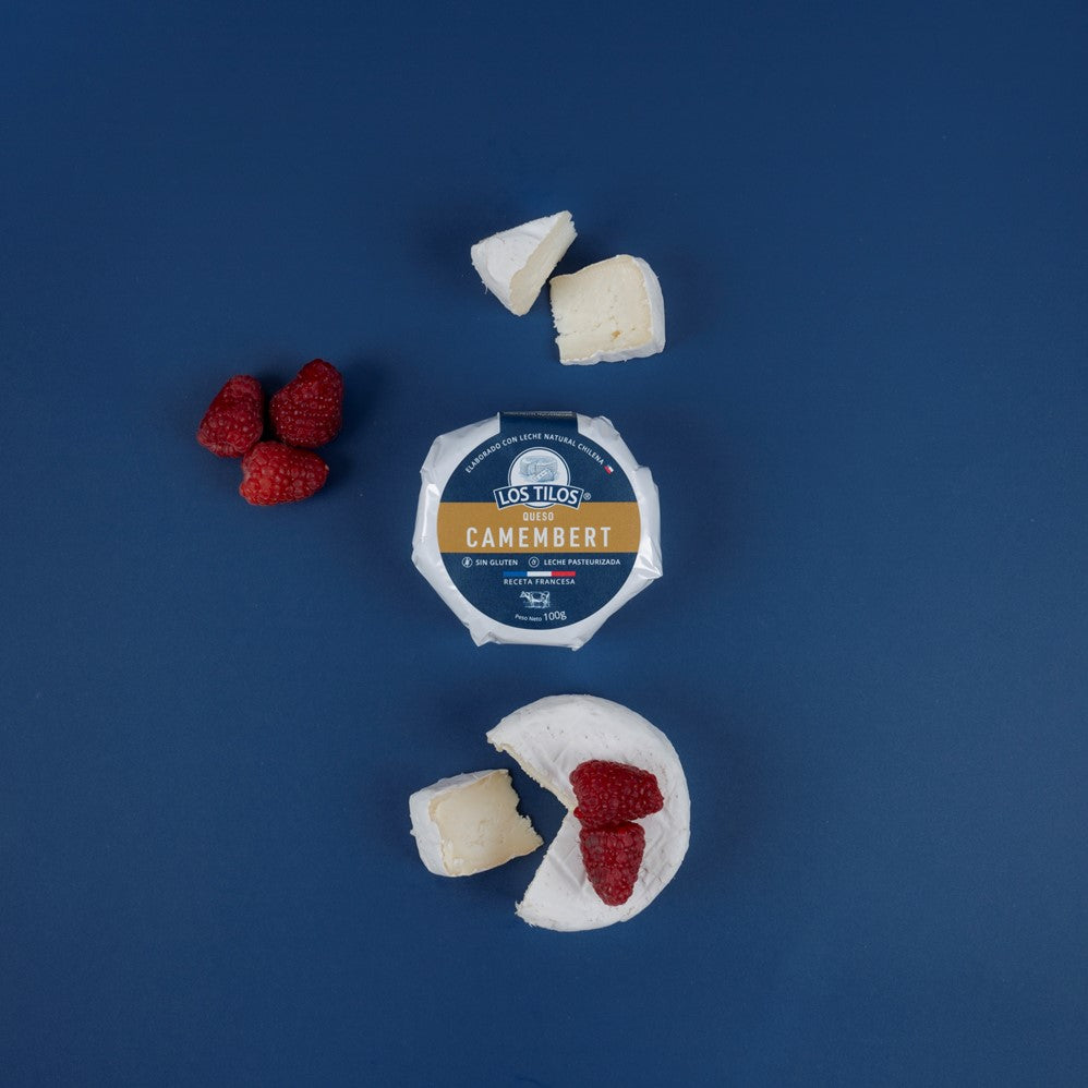 Queso Camembert 100gr Los Tilos
