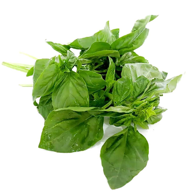 Albahaca 100g Nutrisco