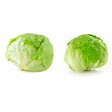 Lechuga Escarola (1 un) Nutrisco
