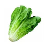 Lechuga Costina (1 un) Nutrisco