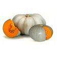 Zapallo Camote (1un) Nutrisco
